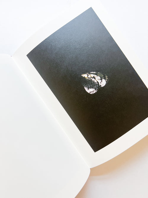 KANON / Shimpei Yamagami [SIGNED]