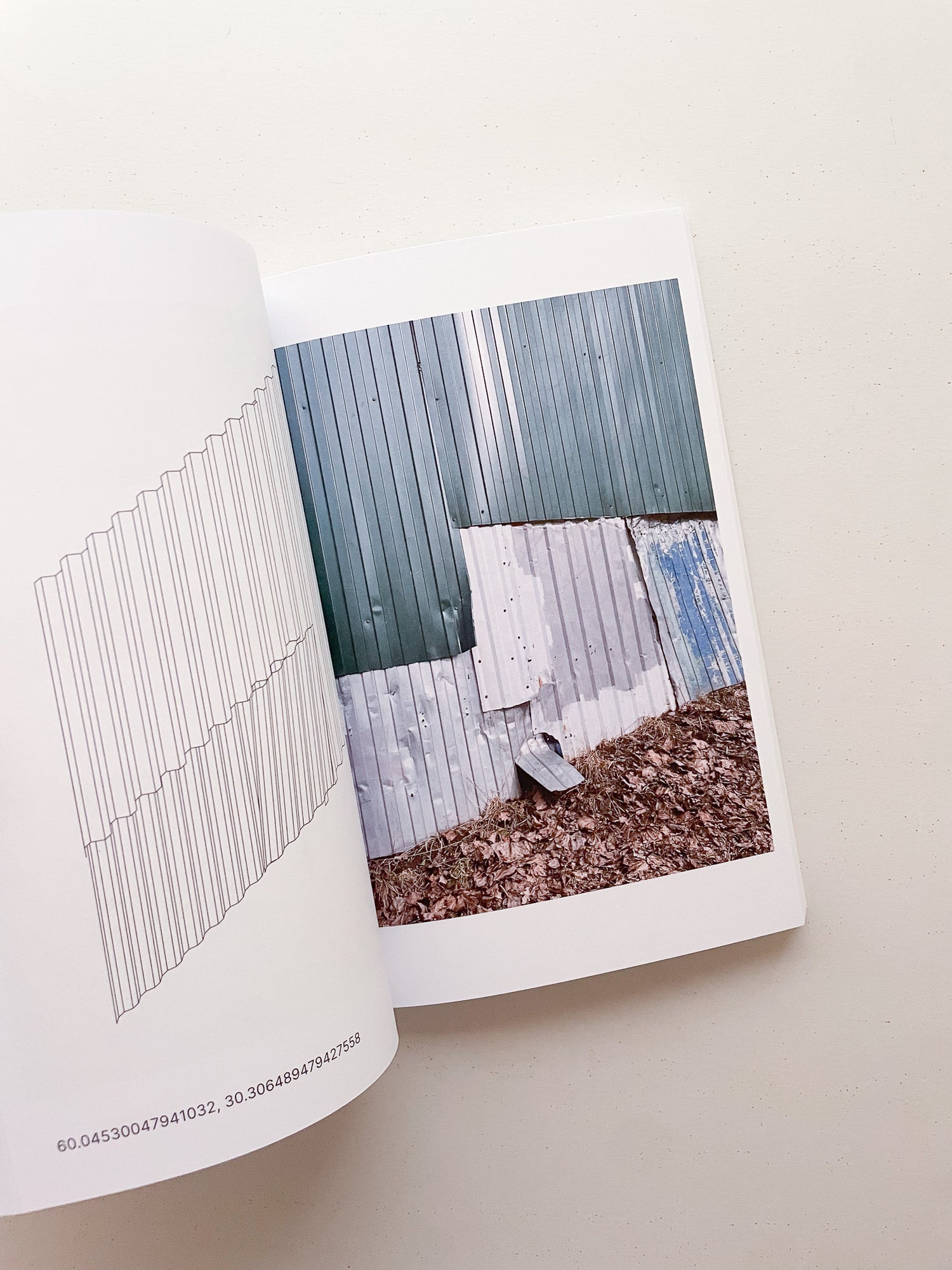 JOINTS OF EASTERN EUROPE / Natasha Krymskaya (CAMP)