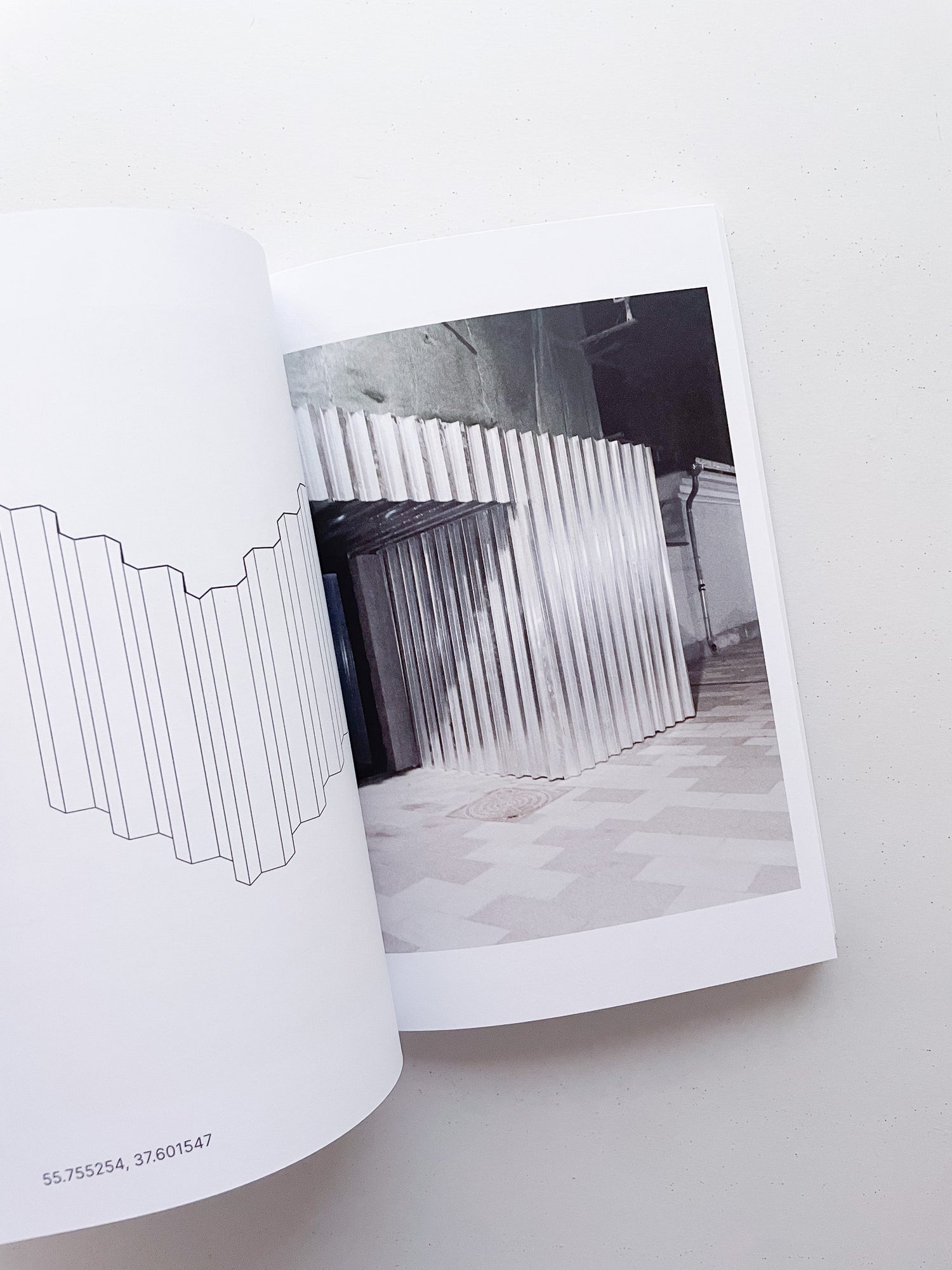 JOINTS OF EASTERN EUROPE / Natasha Krymskaya (CAMP)