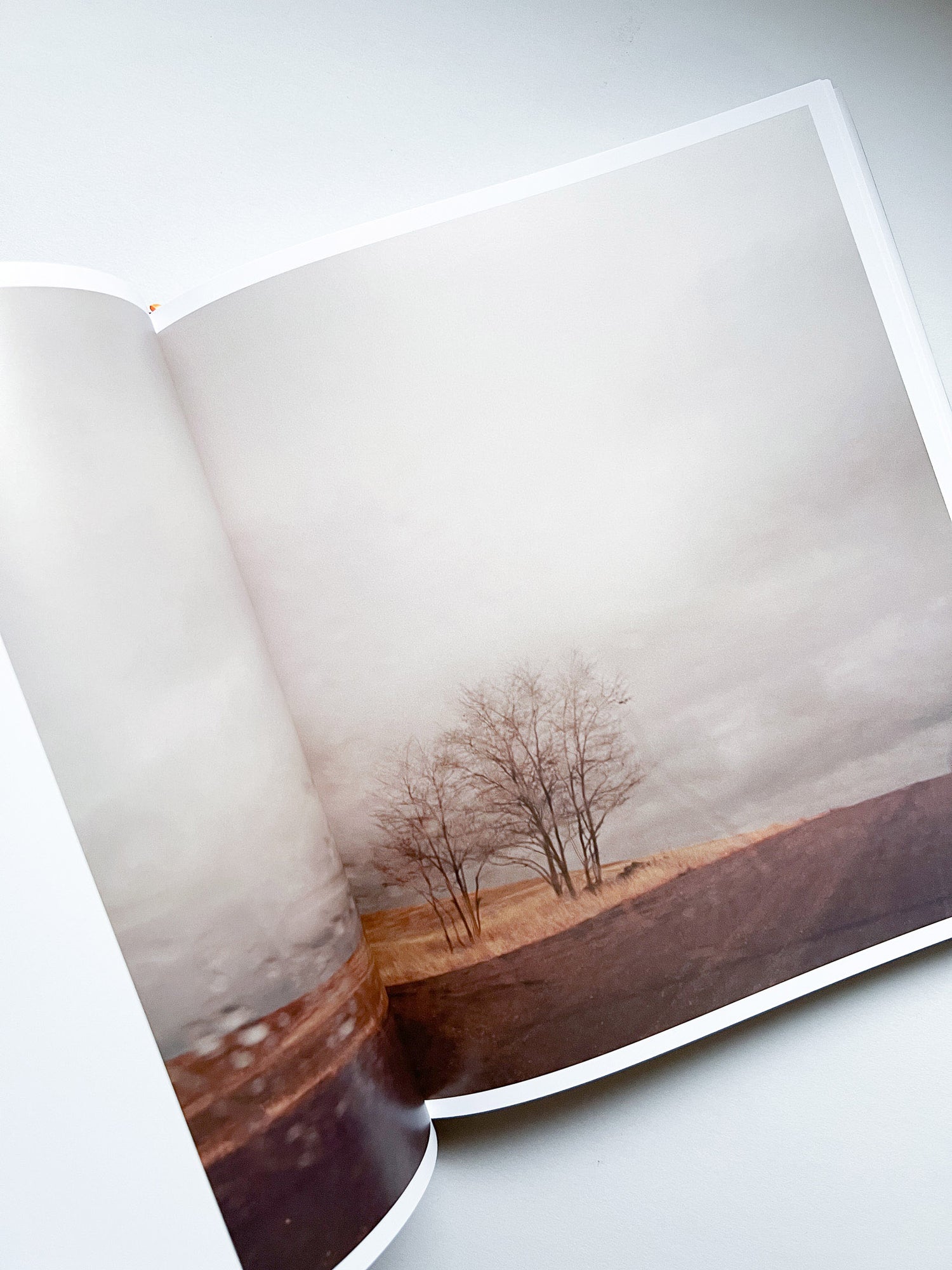 INTIMATE DISTANCE: OVER THIRTY YEARS OF PHOTOGRAPHS, A CHRONOLOGICAL ALBUM / Todd Hido [REVISED AND EXPANDED EDITION]