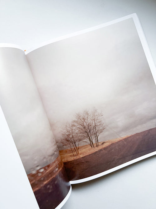 INTIMATE DISTANCE: OVER THIRTY YEARS OF PHOTOGRAPHS, A CHRONOLOGICAL ALBUM / Todd Hido [REVISED AND EXPANDED EDITION]