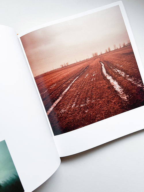 INTIMATE DISTANCE: OVER THIRTY YEARS OF PHOTOGRAPHS, A CHRONOLOGICAL ALBUM / Todd Hido [REVISED AND EXPANDED EDITION]