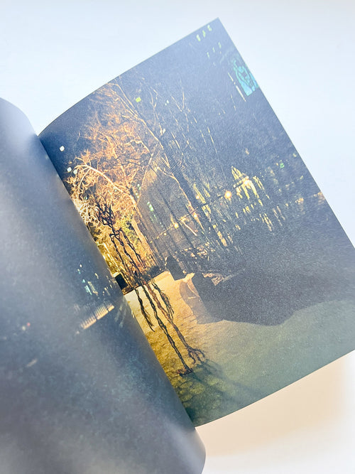 (H {N)Y P N(Y} OSIS  HYPOTHESIS / Philippe Parreno