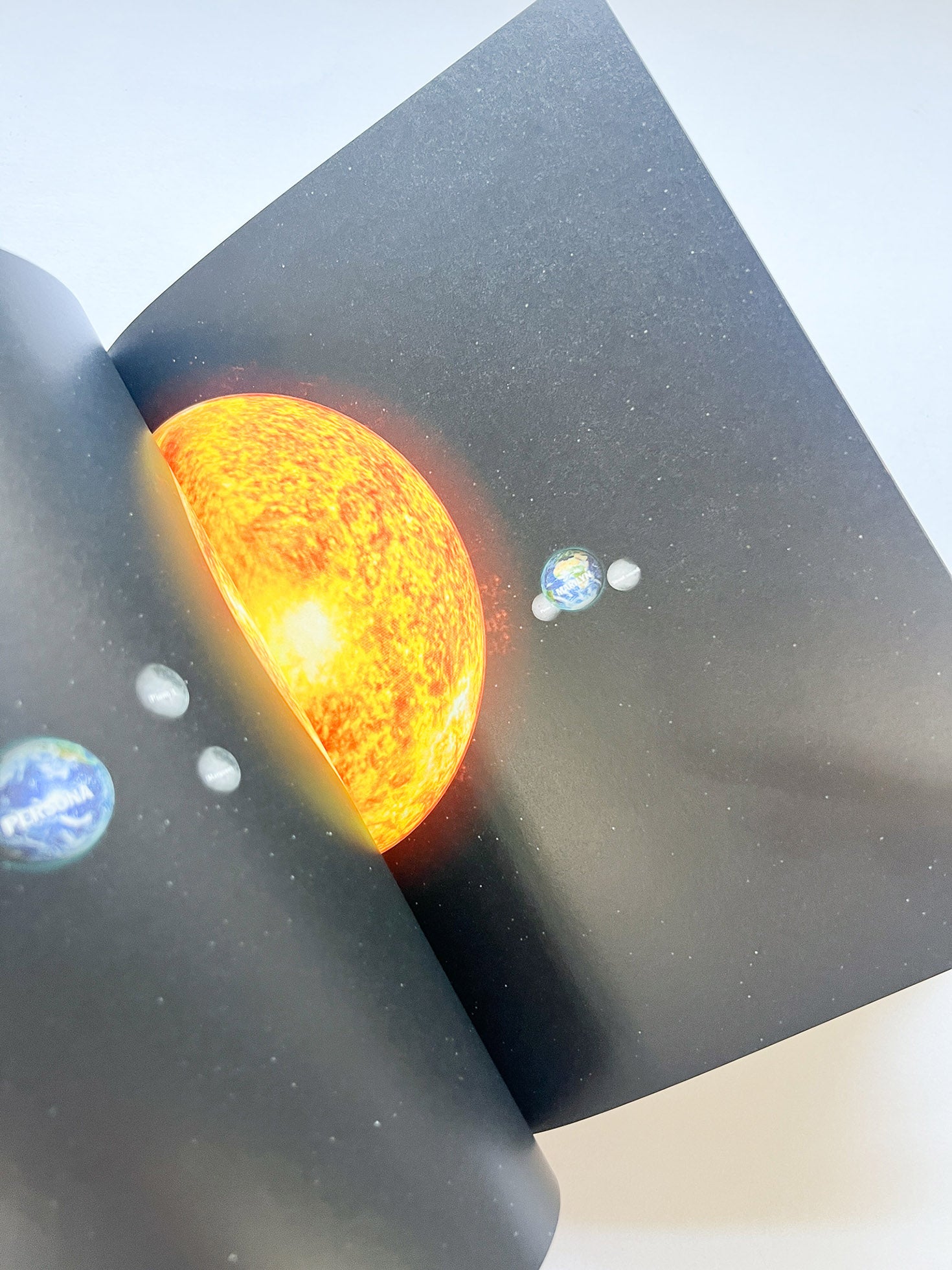 (H {N)Y P N(Y} OSIS  HYPOTHESIS / Philippe Parreno