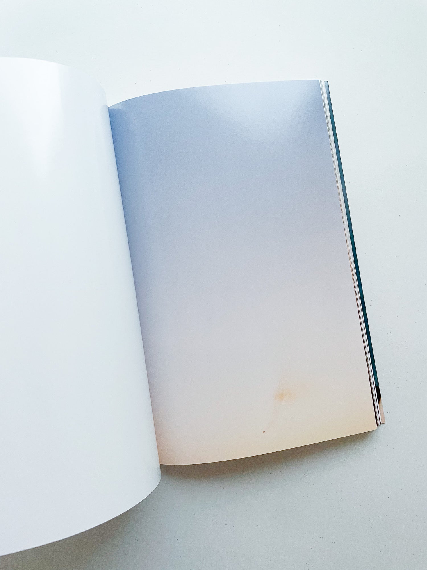 CONCORDE / Wolfgang Tillmans