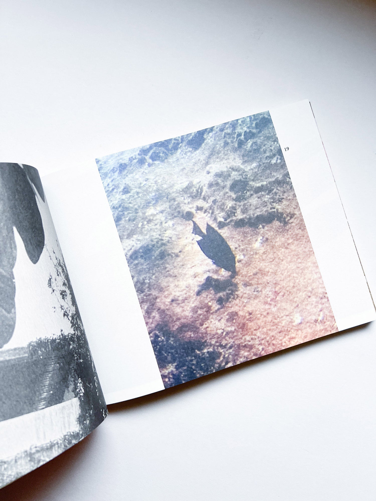 The Most Beautiful Swiss Books 2024