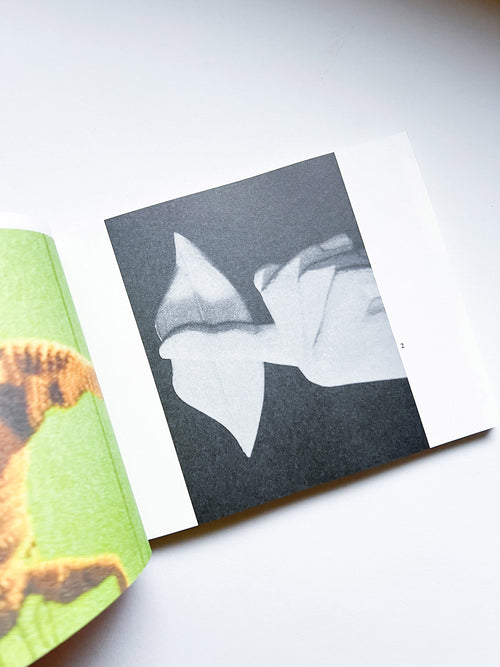 The Most Beautiful Swiss Books 2024