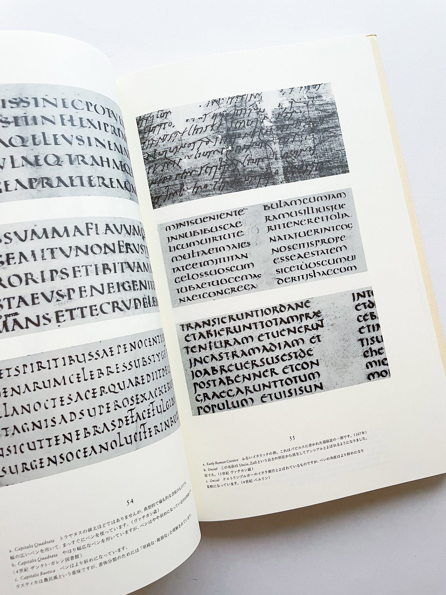 書物と活字 / ヤン・チヒョルト