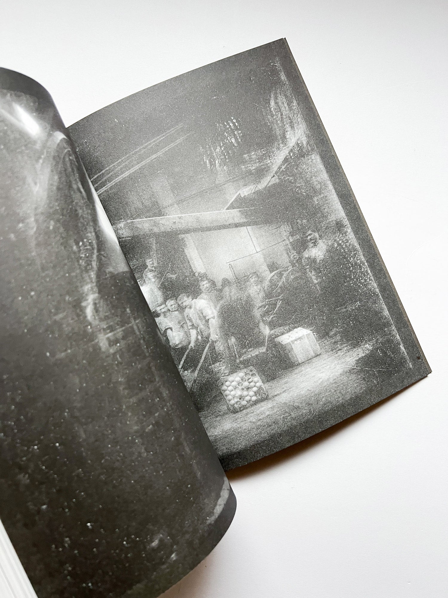 La Nonpareille / Batia Suter