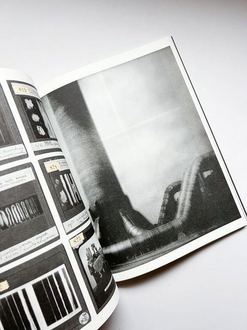 La Nonpareille / Batia Suter