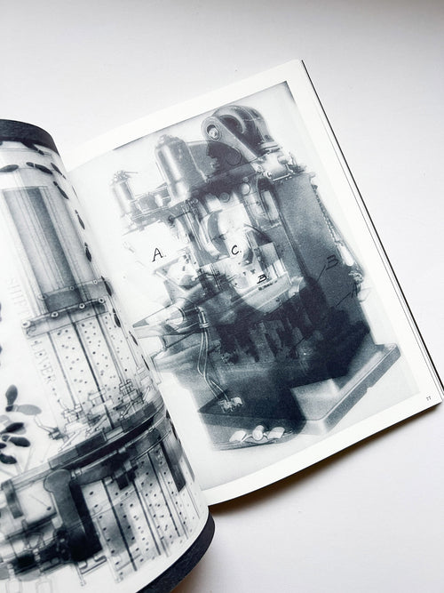 La Nonpareille / Batia Suter