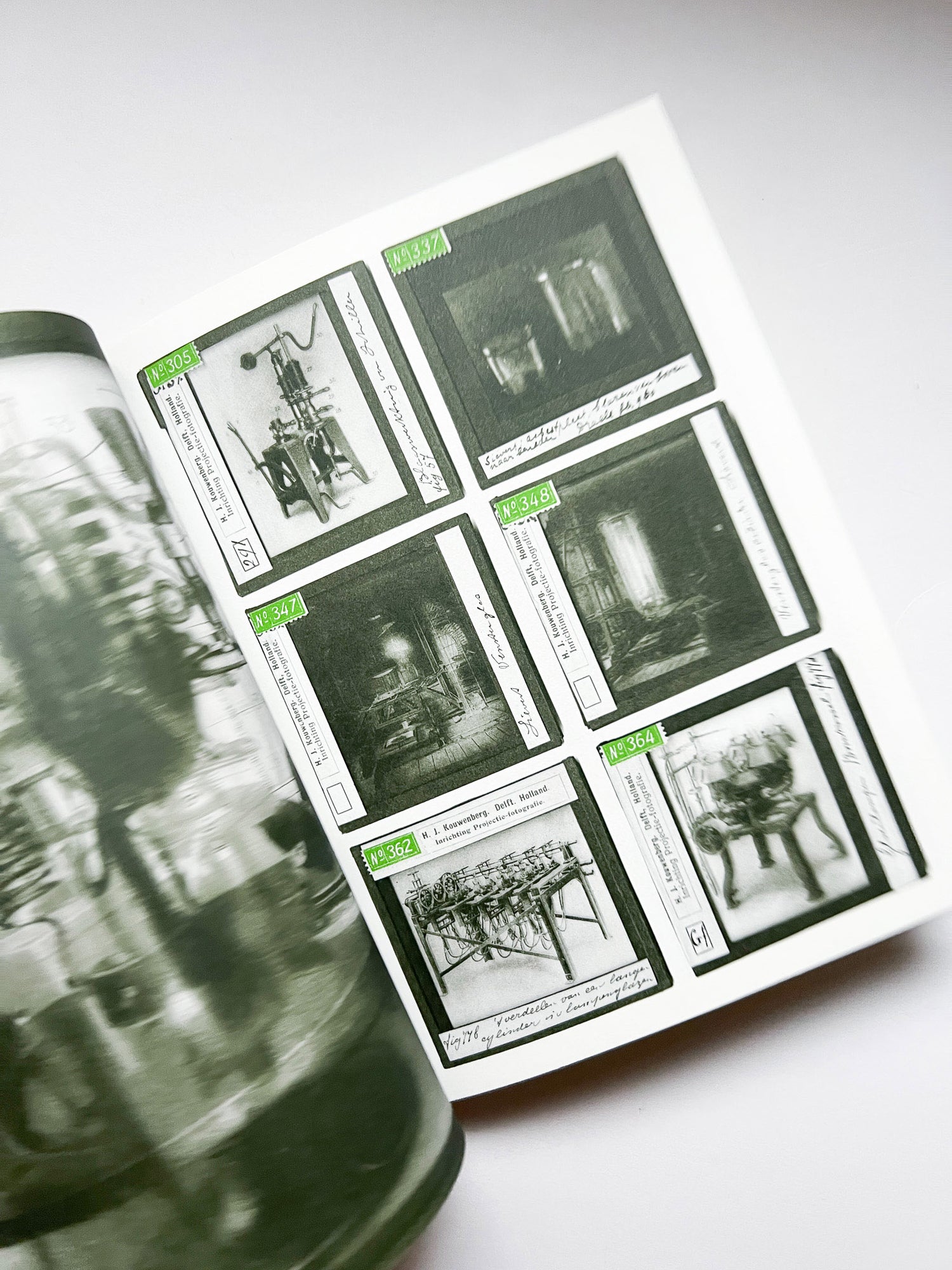 La Nonpareille / Batia Suter