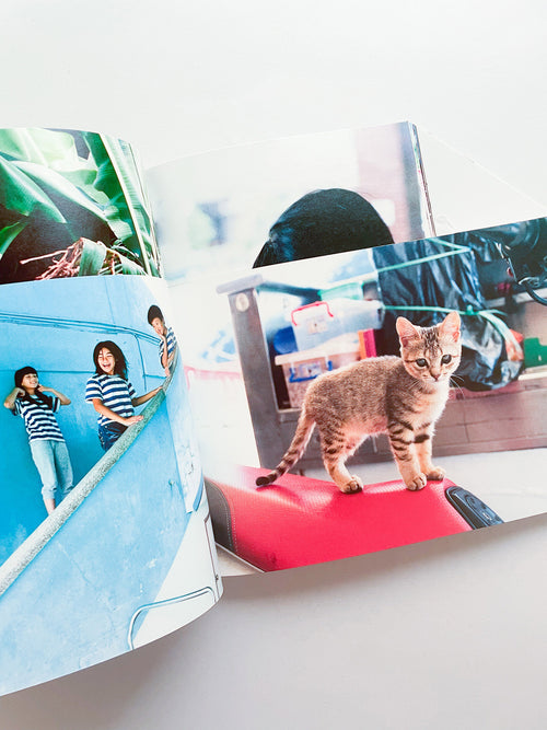 明星 Myojo / Kotori Kawashima