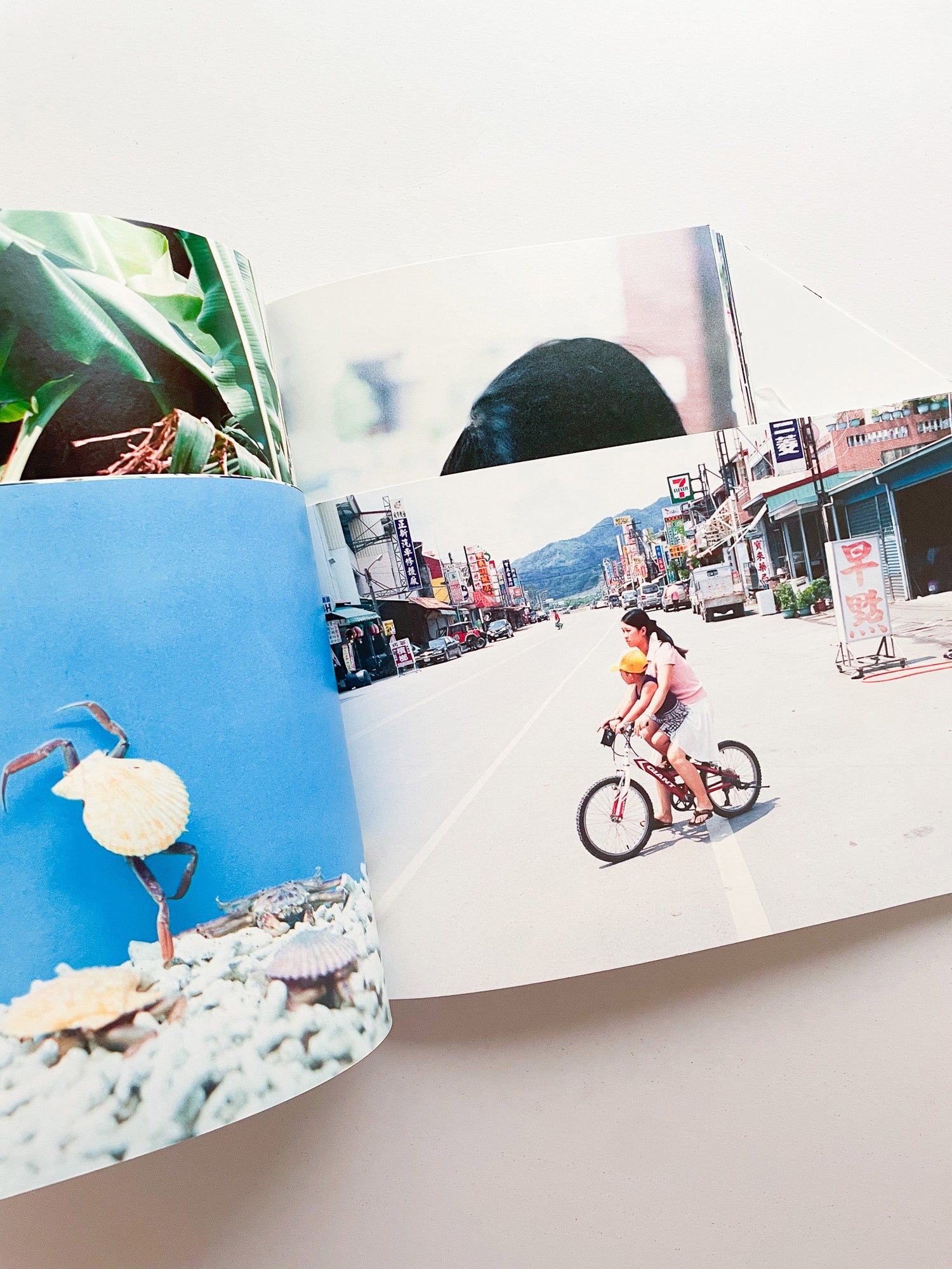 明星 Myojo / Kotori Kawashima