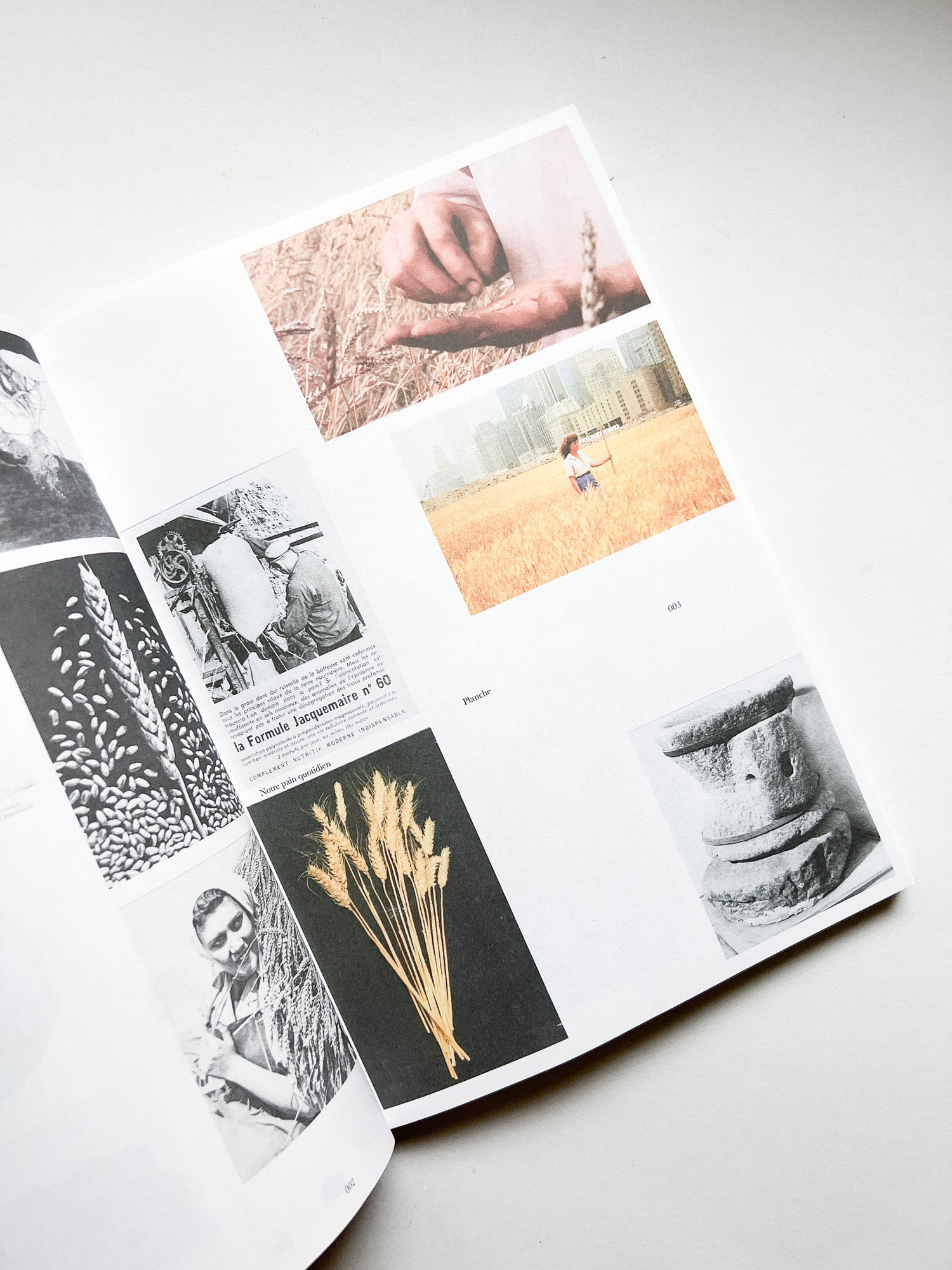 LALIE THÉBAULT MAVIEL / NOTRE PAIN QUOTIDIEN / Lalie Thébault Maviel