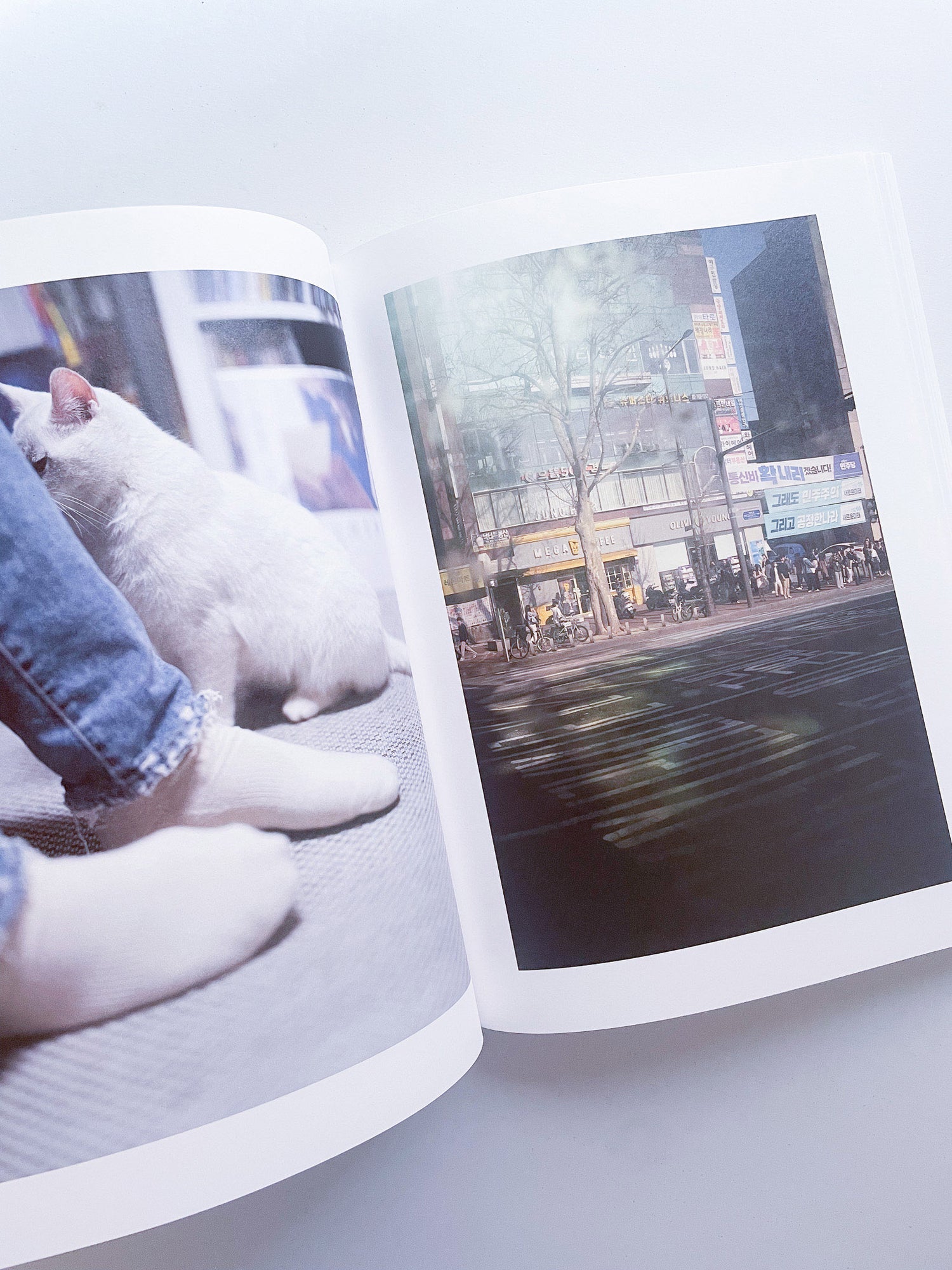 サランラン 사란란 Sa-lanlan / Kotori Kawashima