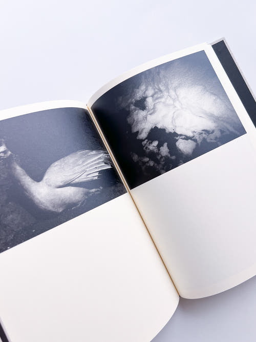 Lirio / Sakiko Nomura [SIGNED]