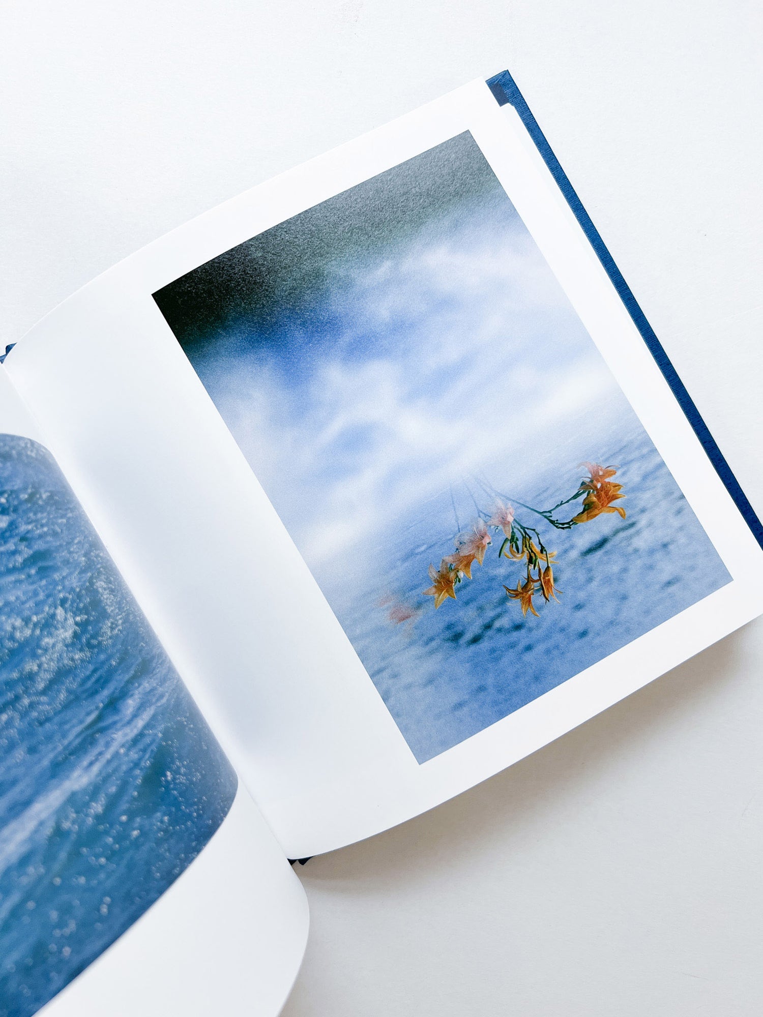 ー・・/ Kanade Hamamoto