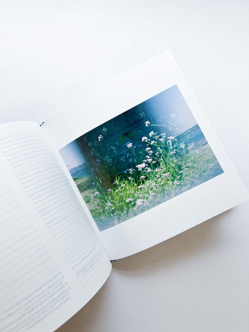 ー・・/ Kanade Hamamoto