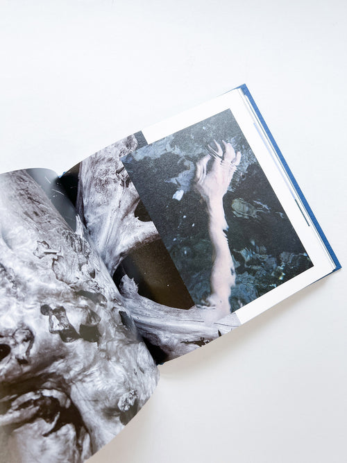 ー・・/ Kanade Hamamoto