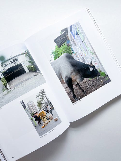 NOTHING COULD HAVE PREPARED US – EVERYTHING COULD HAVE PREPARED US / Wolfgang Tillmans