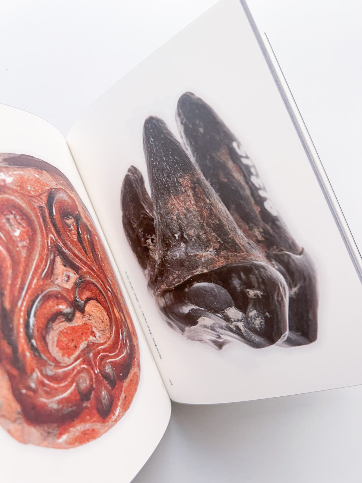 Onder/Under Amsterdam / Irma Boom, Frederik Pesch