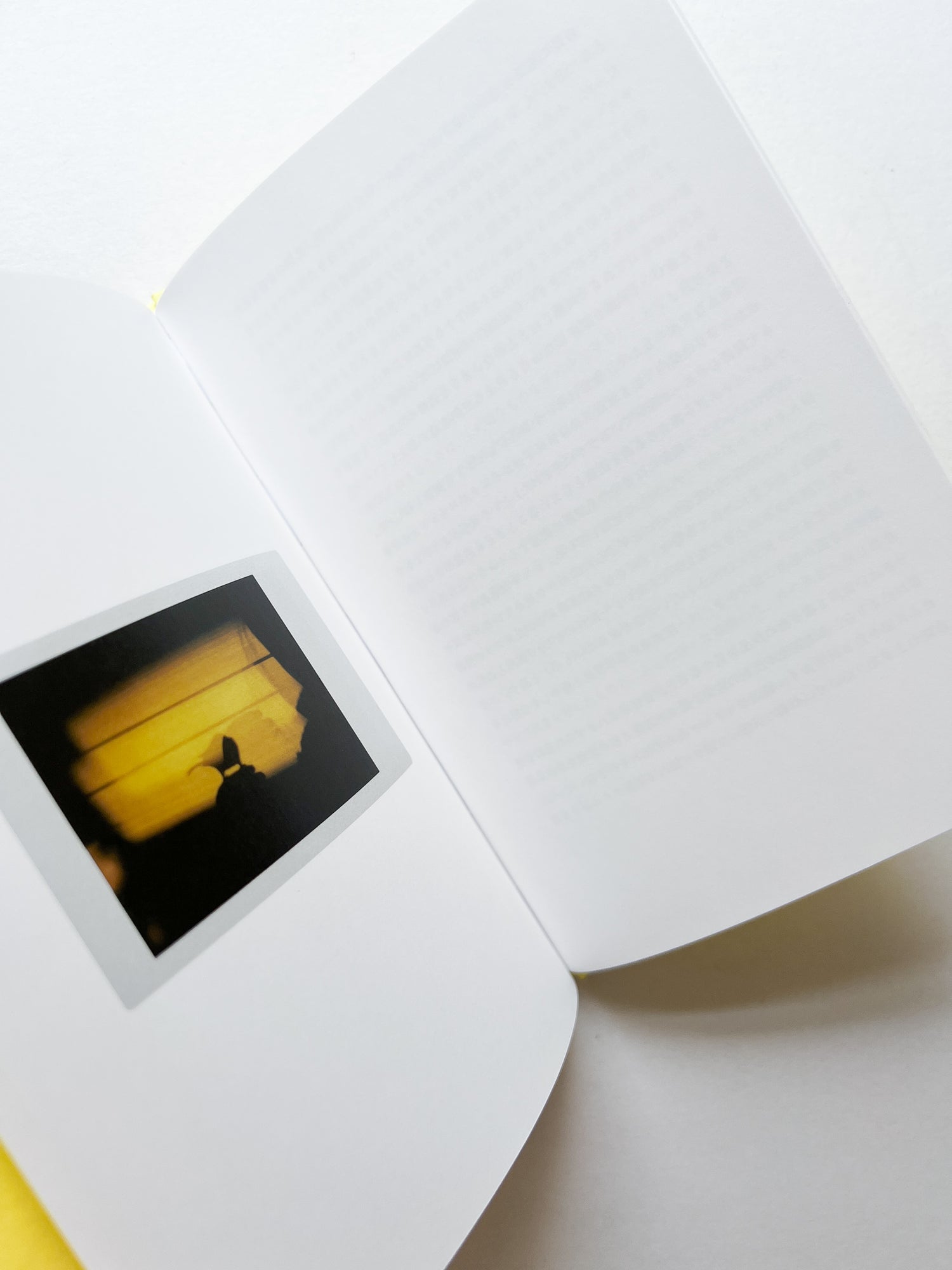 JOBIM / Erika Yoshino [SIGNED]