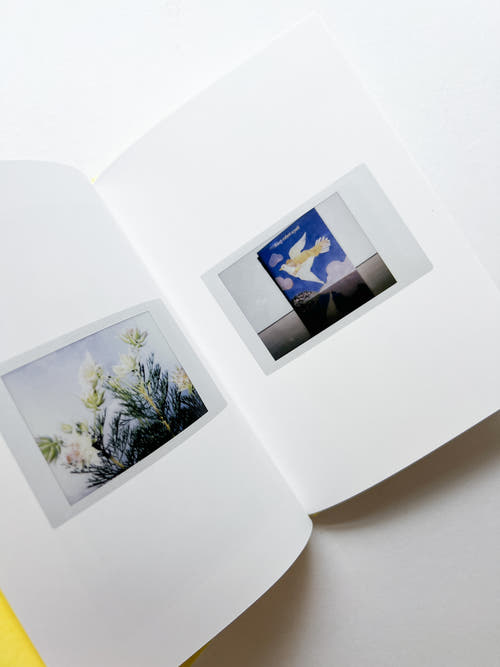 JOBIM / Erika Yoshino [SIGNED]