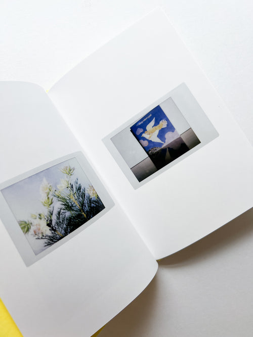 JOBIM / Erika Yoshino [SIGNED]