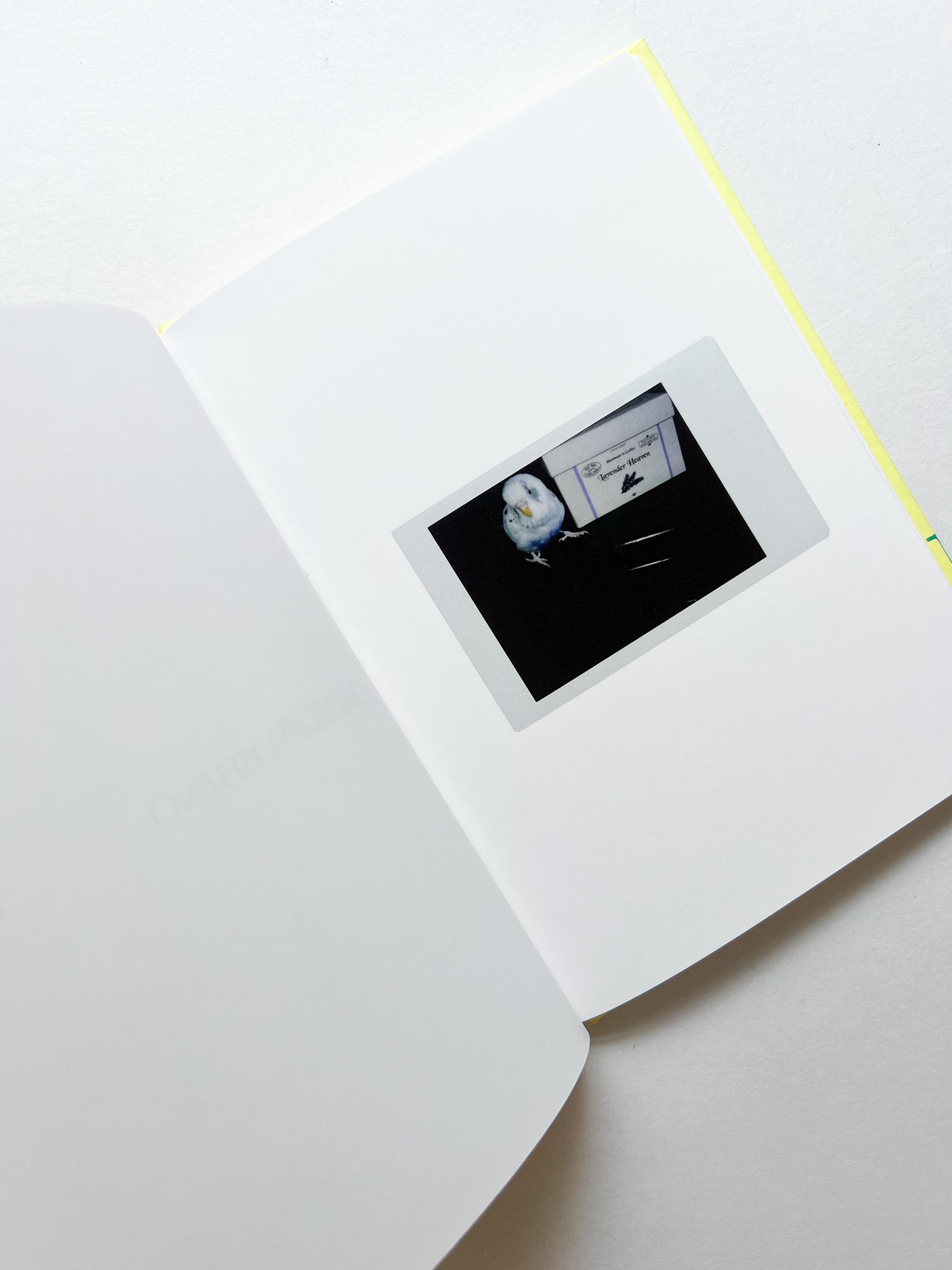 JOBIM / Erika Yoshino [SIGNED]