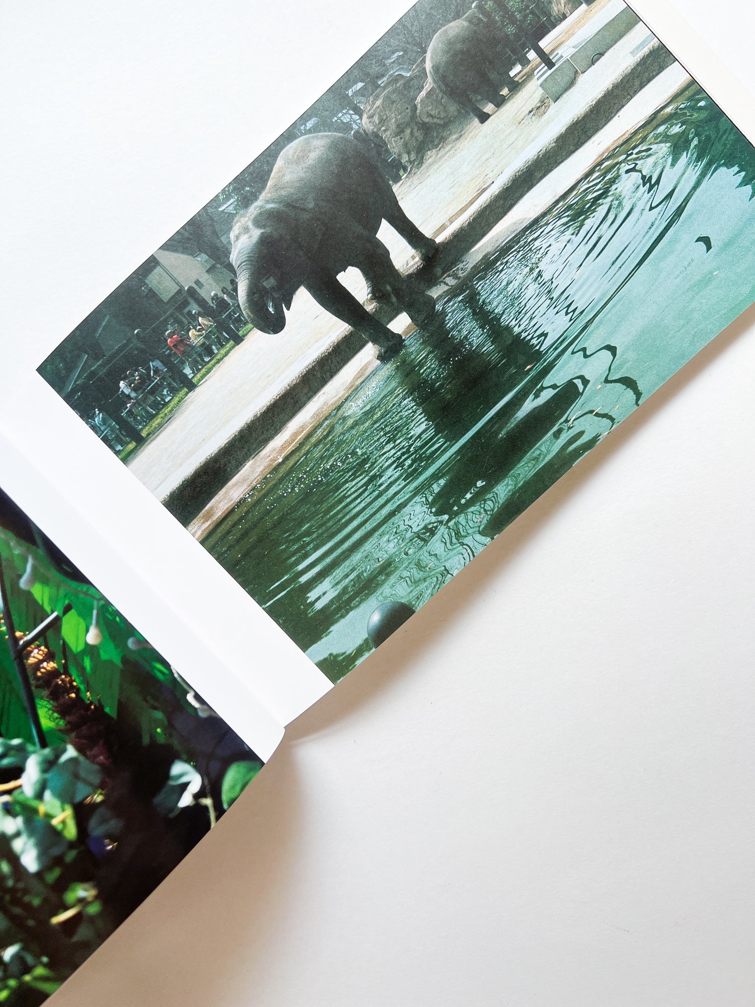 JUST LIKE ON THE RADIO / Erika Yoshino