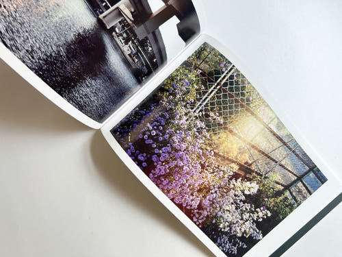 Windows of the World /  Erika Yoshino