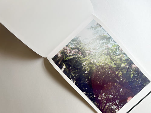 Windows of the World /  Erika Yoshino