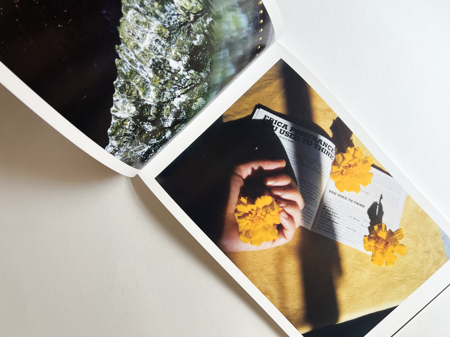 Windows of the World /  Erika Yoshino