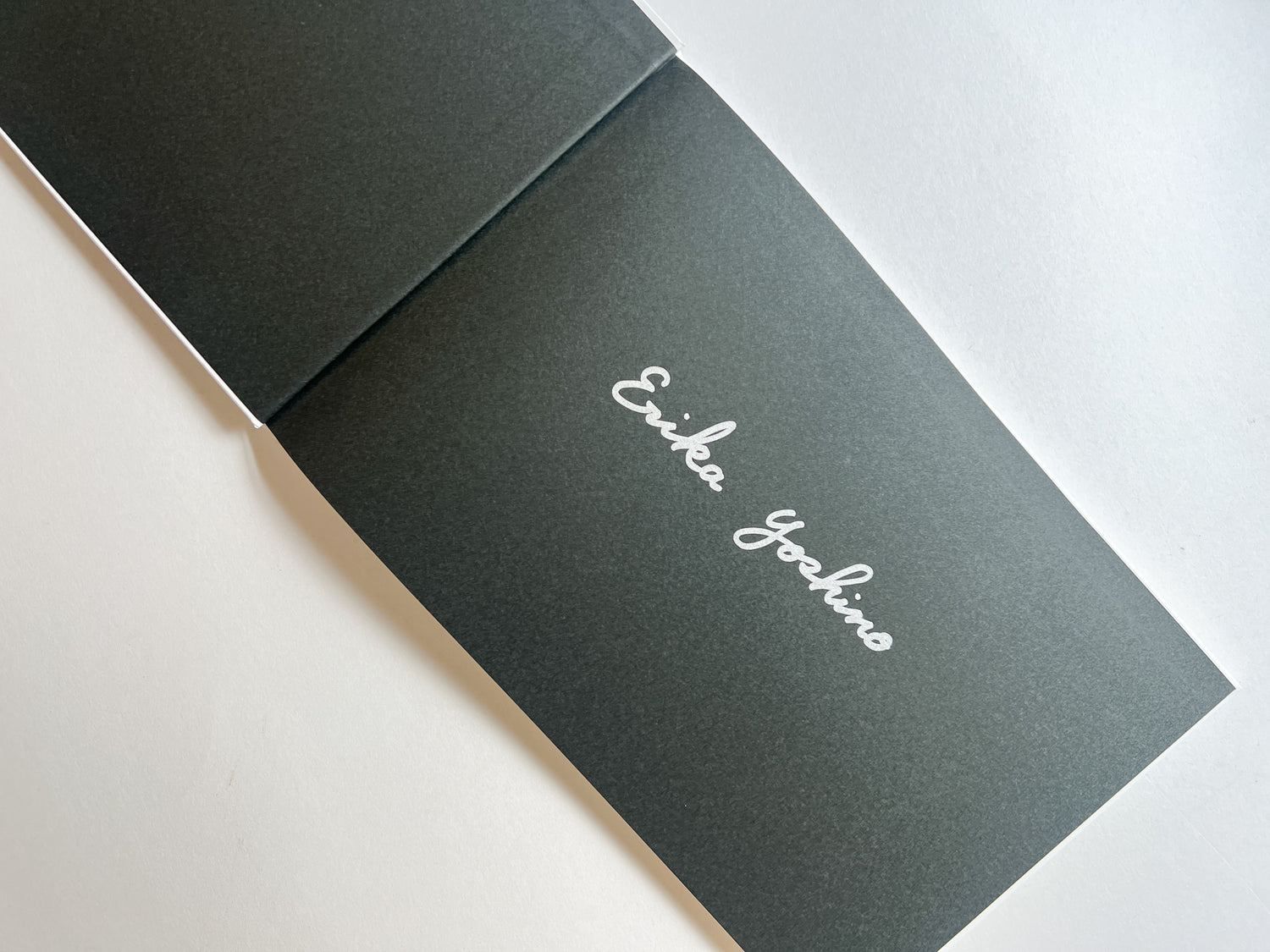 Windows of the World /  Erika Yoshino