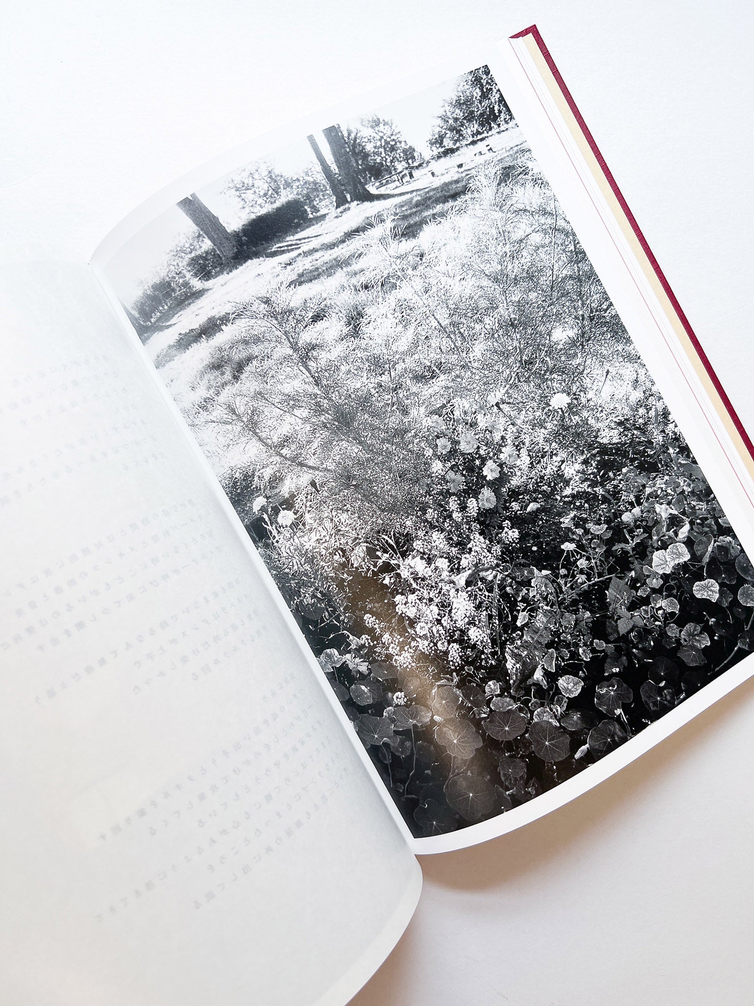 SWISS / Yurie Nagashima