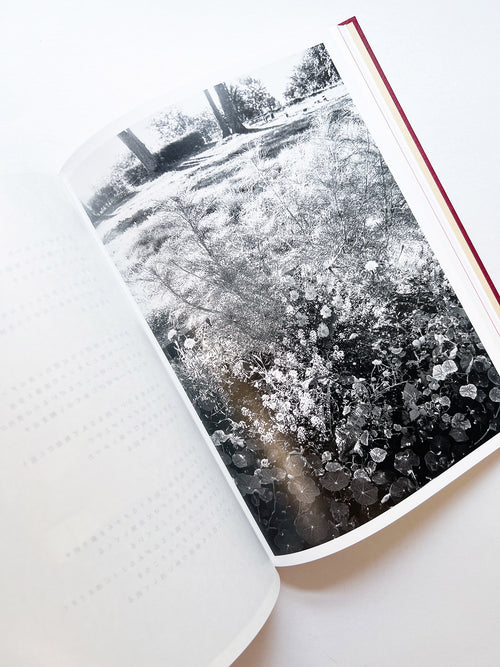 SWISS / Yurie Nagashima