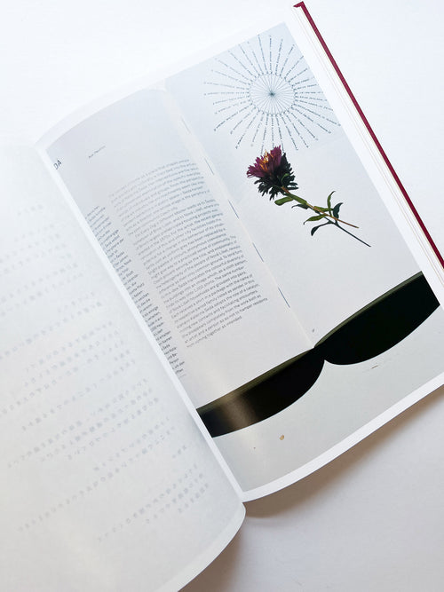 SWISS / Yurie Nagashima