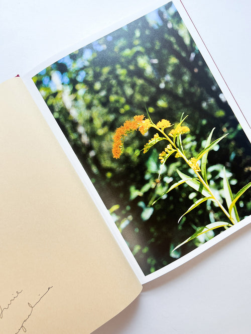 SWISS / Yurie Nagashima