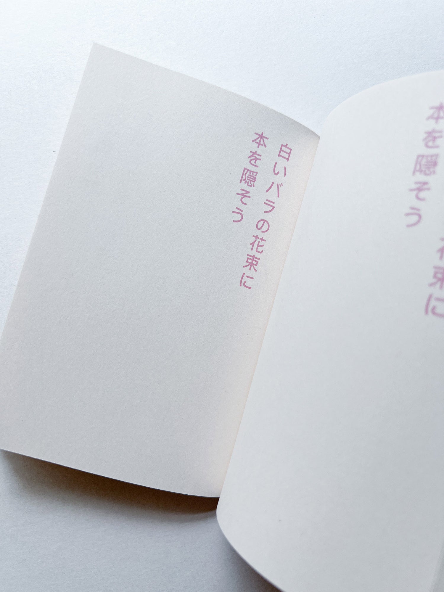 書店で本を盗む方法 / David Horvitz