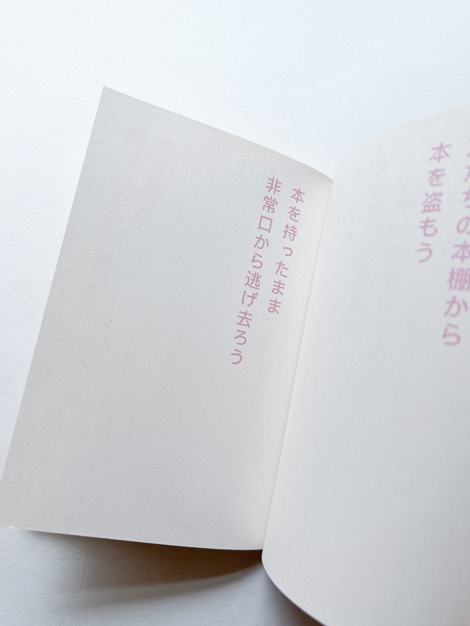 書店で本を盗む方法 / David Horvitz