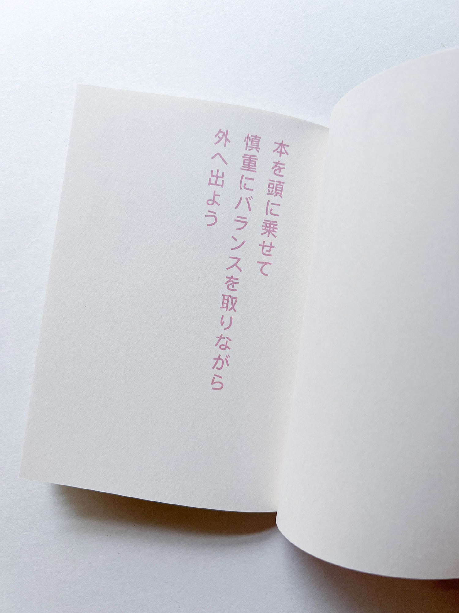 書店で本を盗む方法 / David Horvitz