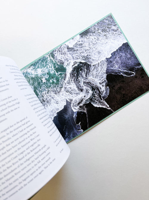 COHO COME HOME / Ai Iwane