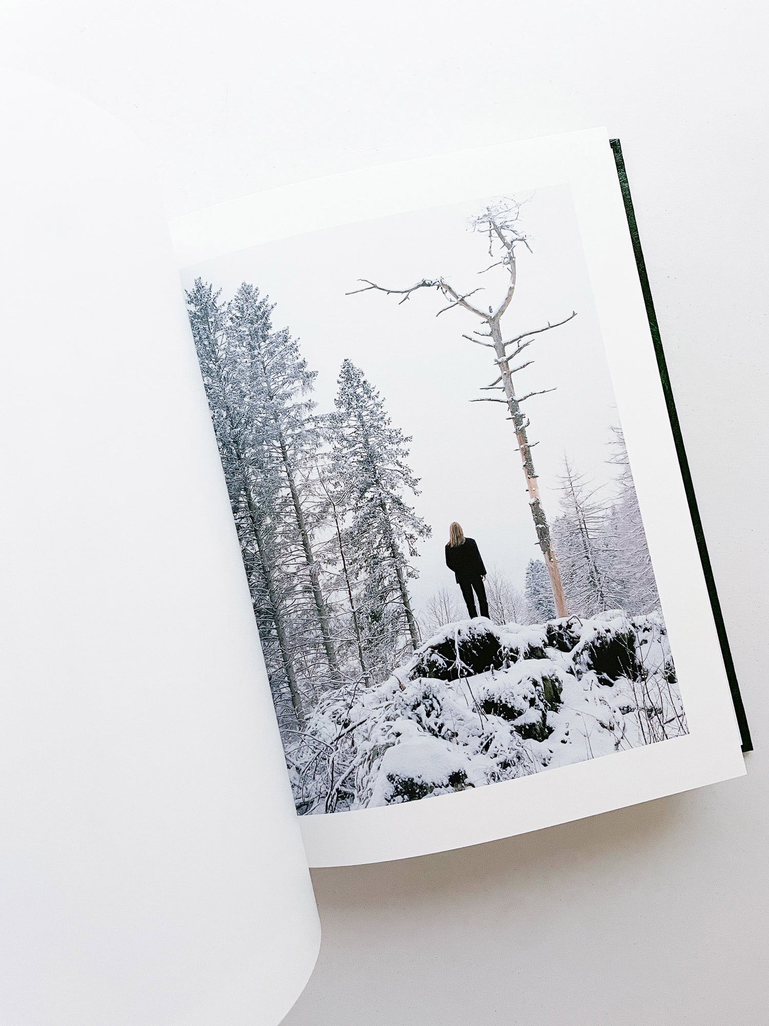 SASQUATCH CENTURY / Torbjørn Rødland