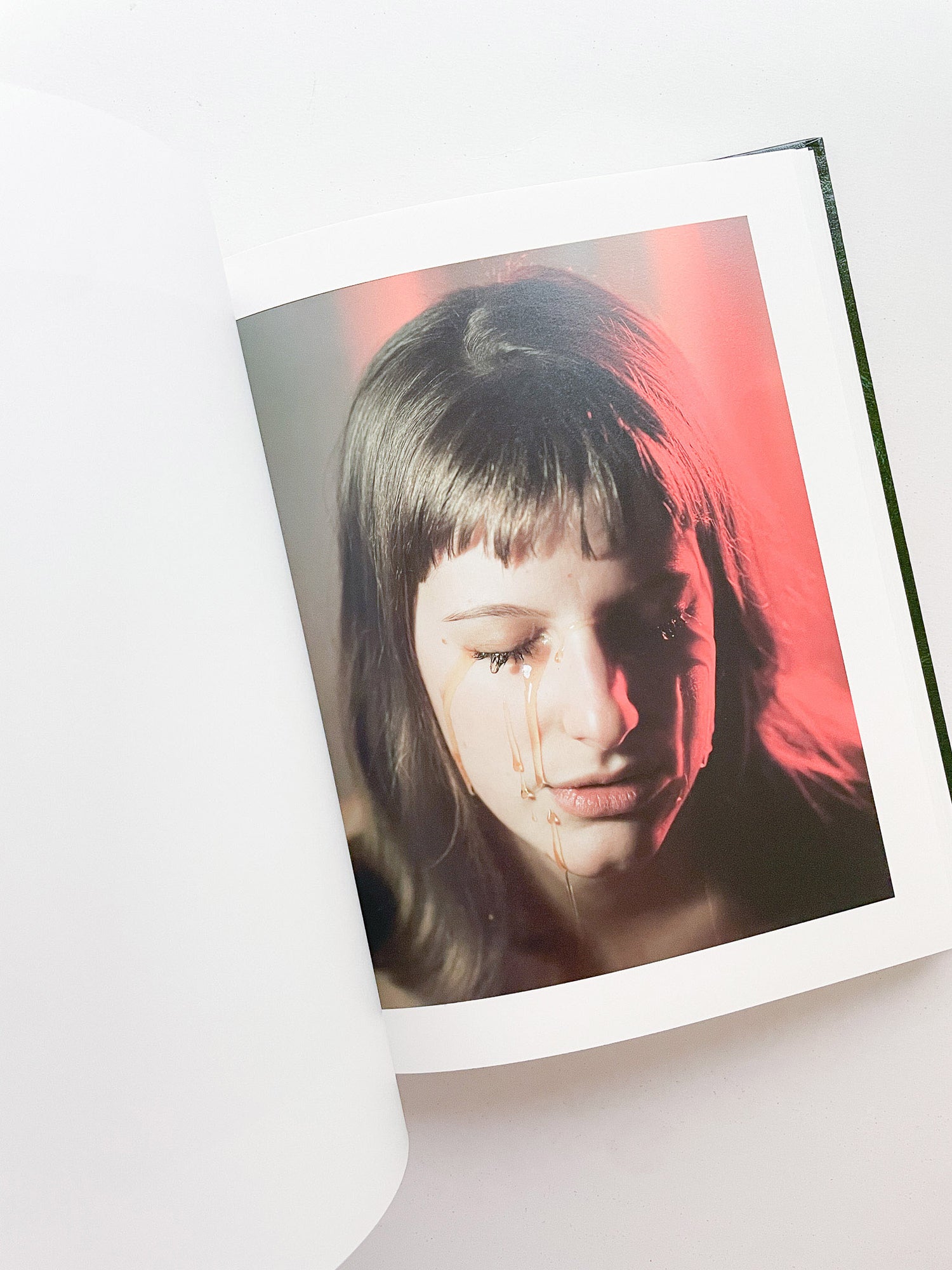 SASQUATCH CENTURY / Torbjørn Rødland