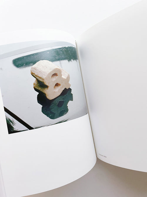 SASQUATCH CENTURY / Torbjørn Rødland