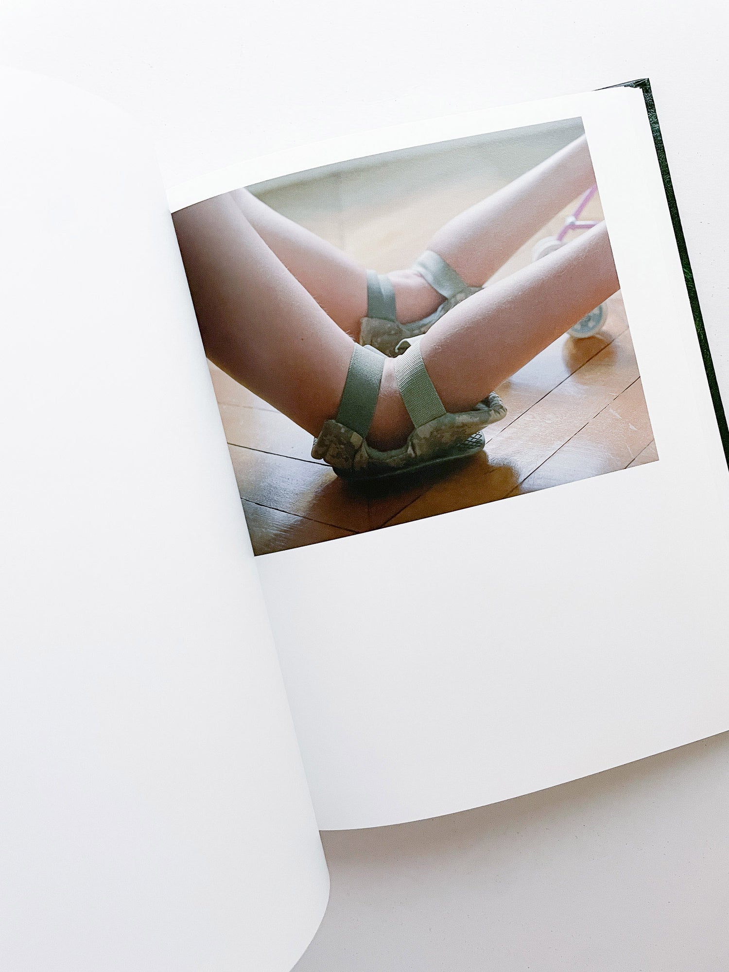 SASQUATCH CENTURY / Torbjørn Rødland