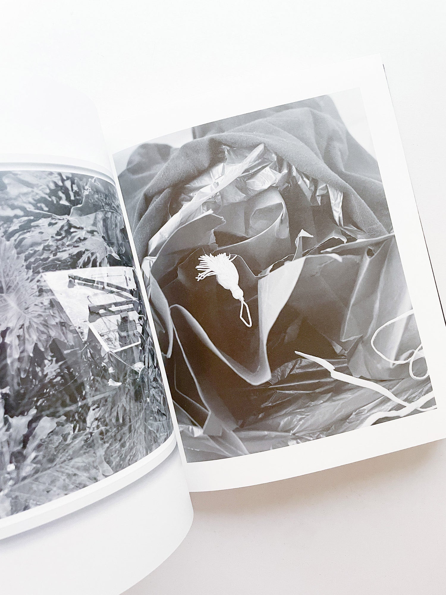 SASQUATCH CENTURY / Torbjørn Rødland