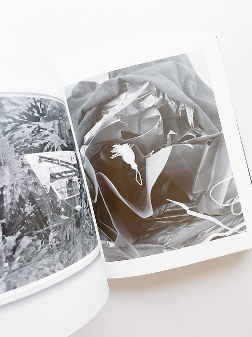 SASQUATCH CENTURY / Torbjørn Rødland