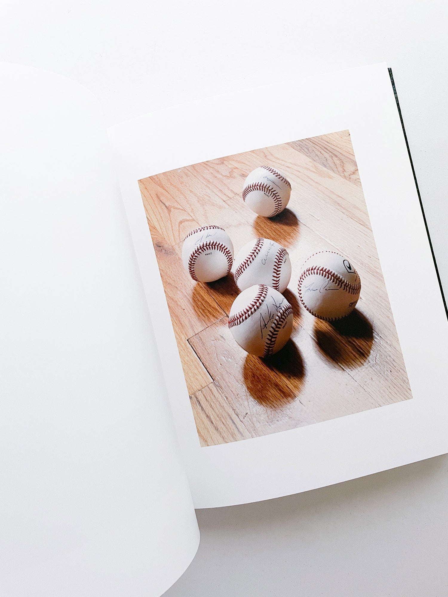 SASQUATCH CENTURY / Torbjørn Rødland